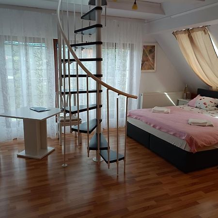 Pension Donaublick Grein 2 In Stifterstrasse19. Apartment Luaran gambar