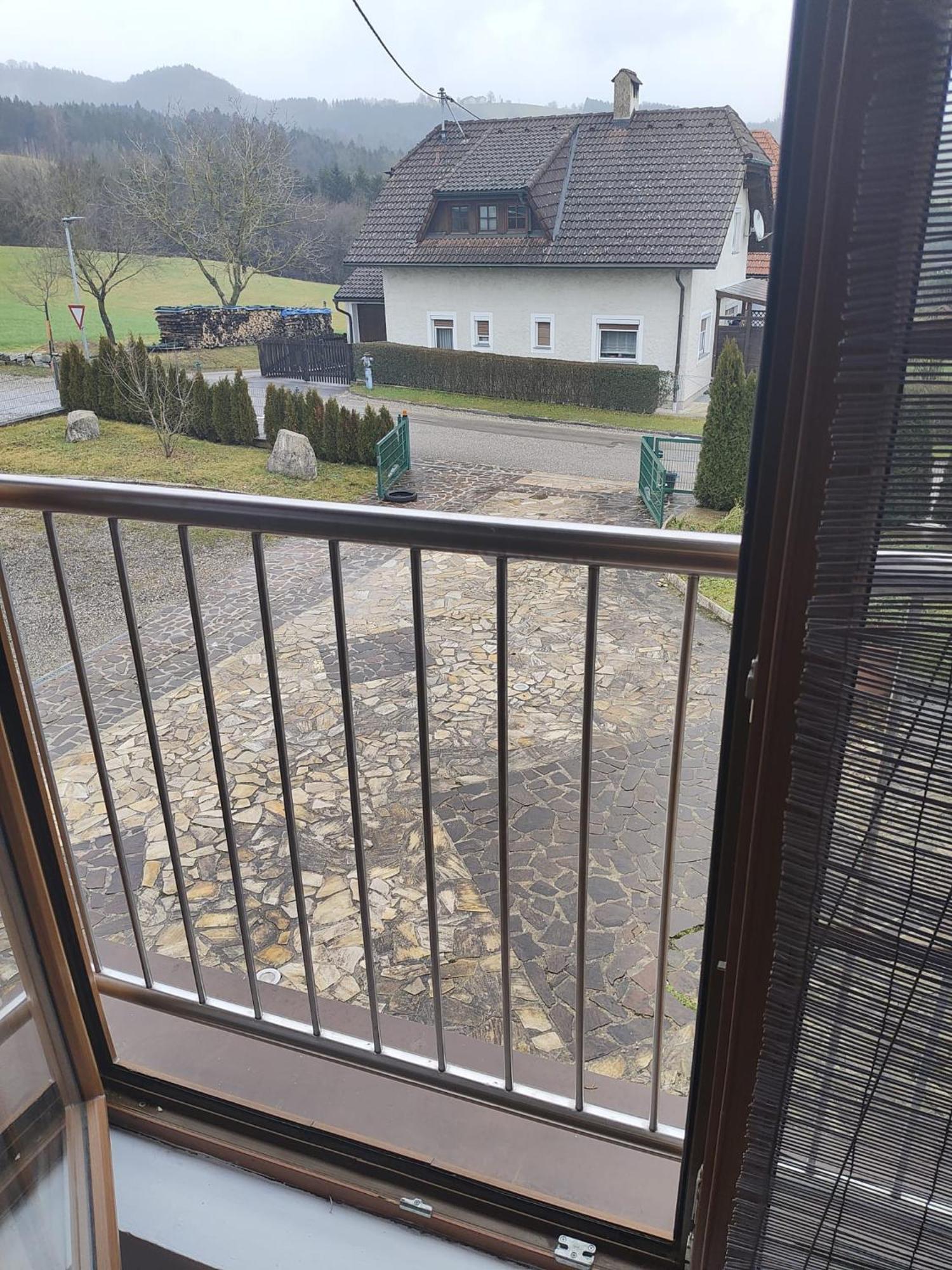 Pension Donaublick Grein 2 In Stifterstrasse19. Apartment Luaran gambar