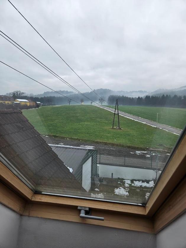 Pension Donaublick Grein 2 In Stifterstrasse19. Apartment Luaran gambar