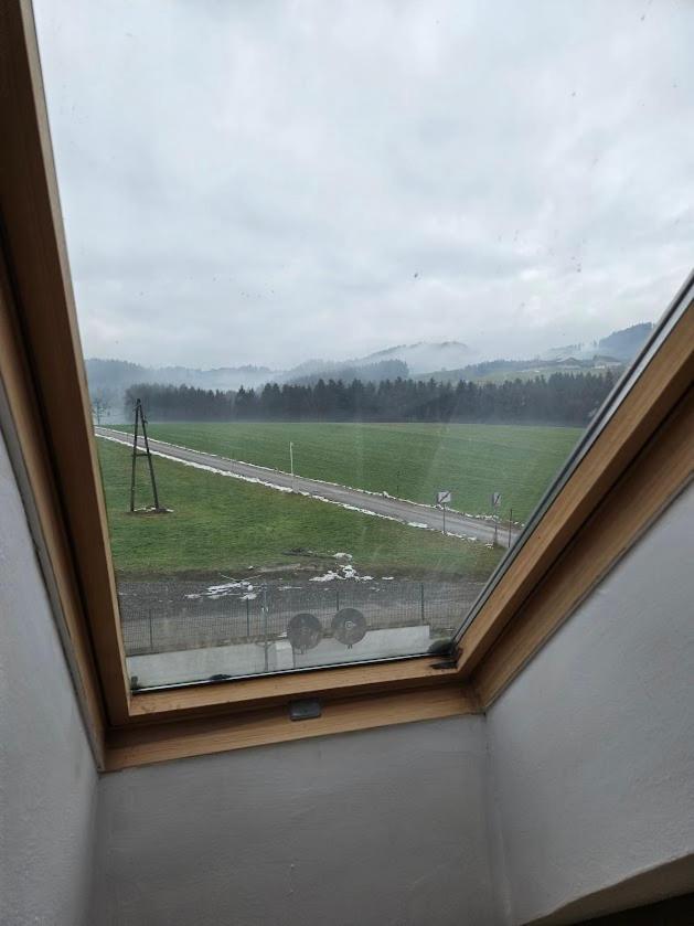 Pension Donaublick Grein 2 In Stifterstrasse19. Apartment Luaran gambar